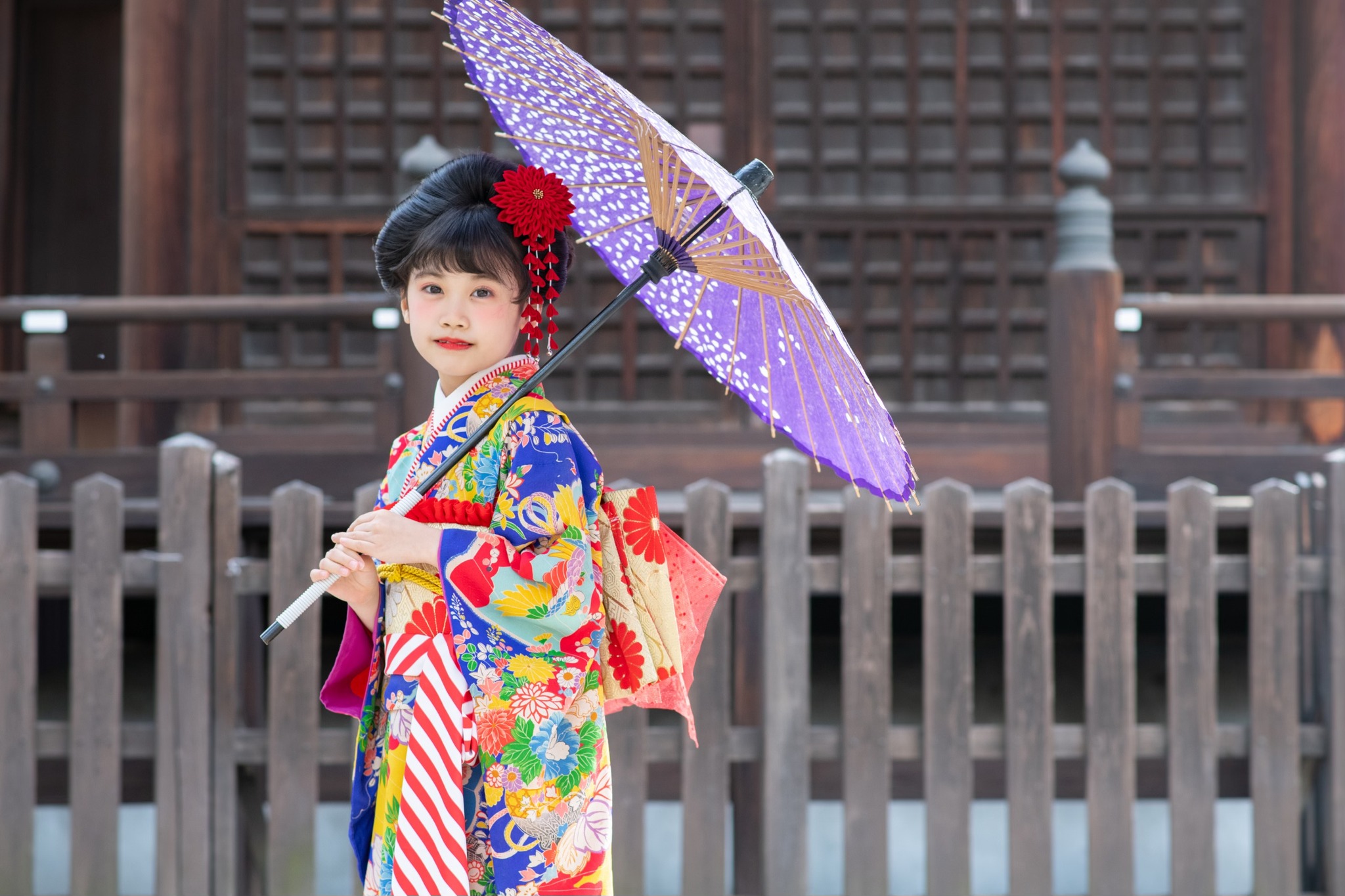 美しいアンティーク着物を着た七五三７歳の女の子　名古屋市内の神社にて